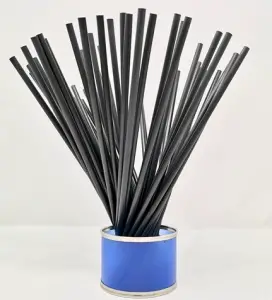 Bio Trinkhalm von Cap2Move