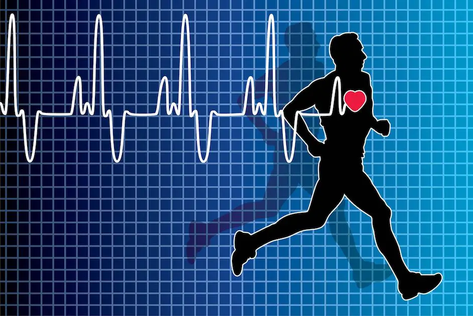 In welcher Herzfrequenzzone trainieren